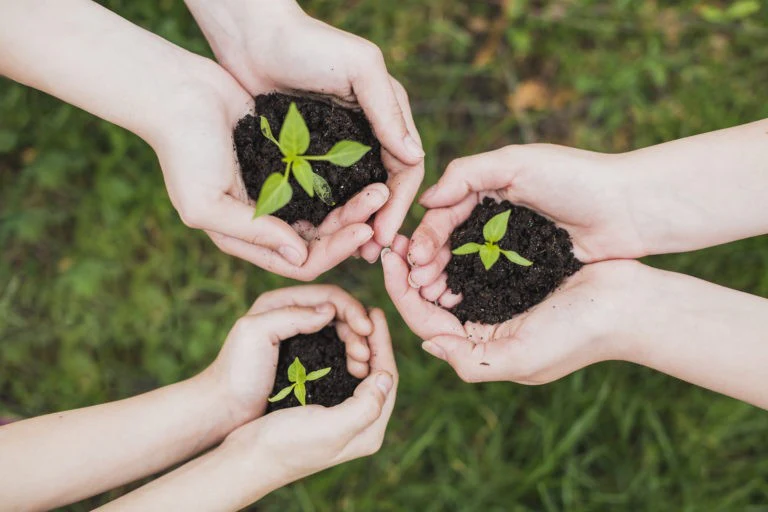 plantes-ecologiques-absorbent-co2-768×512.jpg