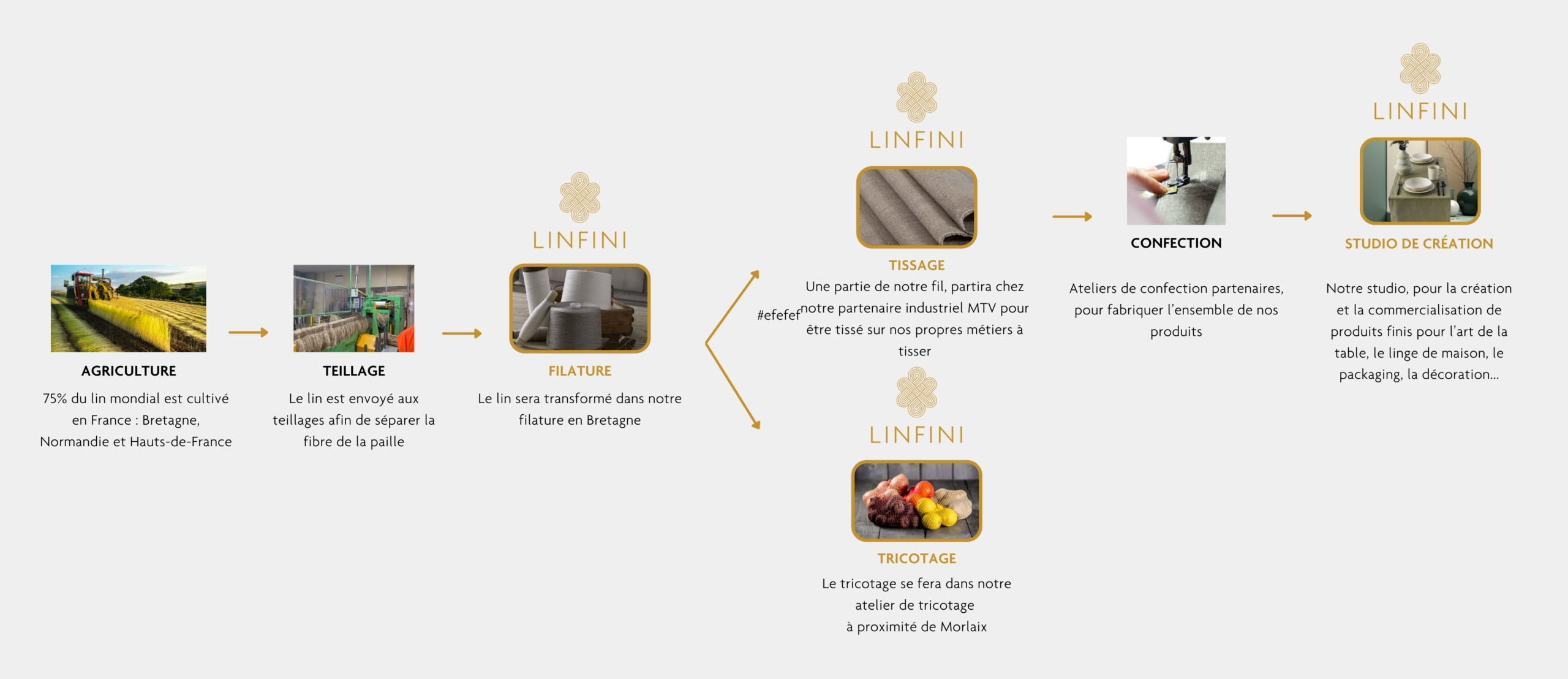 Visuels site Linfini-5
