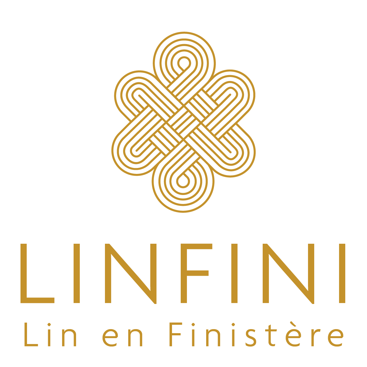 linfini-logo-slogan-OR-300dpi